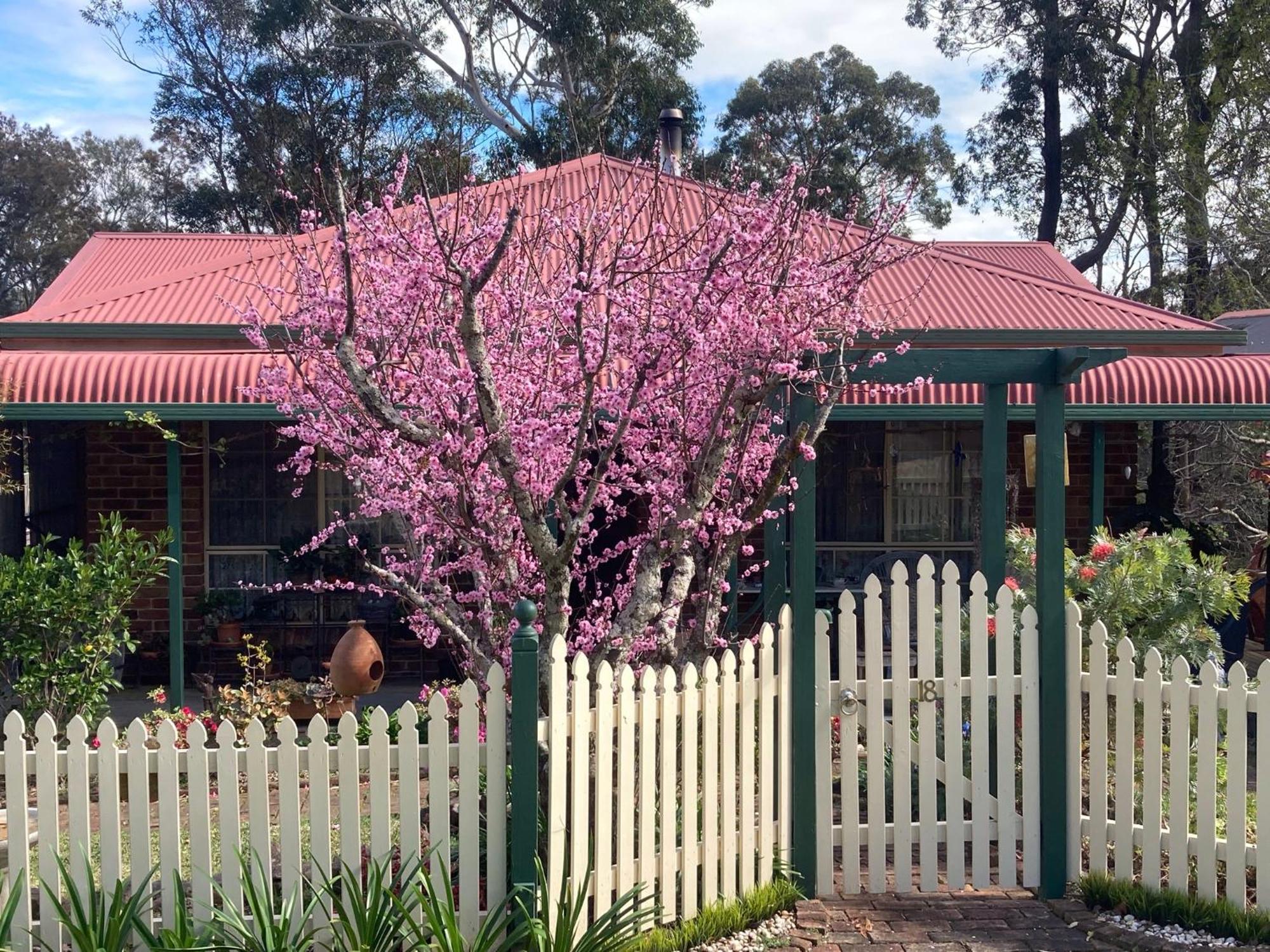 Blue Gum Cottage On Bay Bensville Exterior foto