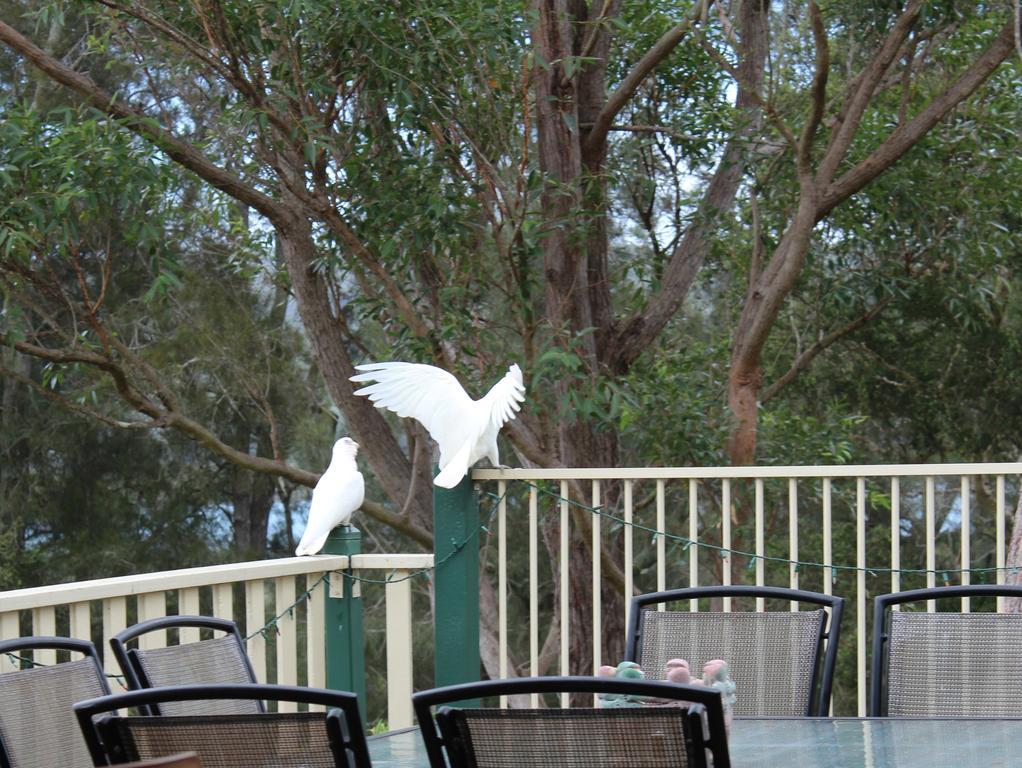 Blue Gum Cottage On Bay Bensville Exterior foto